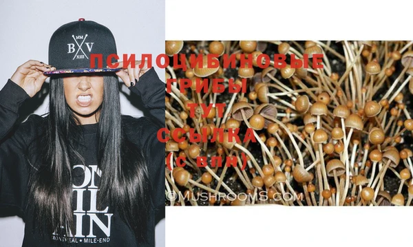 прущая мука Надым