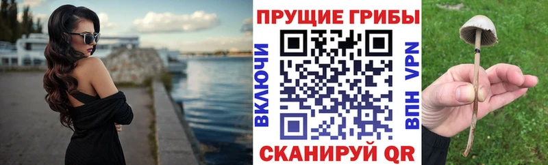 Купить  Саратов  Псилоцибиновые грибы Magic Shrooms 